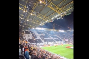 世界杯4冠+欧洲杯3冠！德国球迷赛前巨型tifo致敬足协成立125周年