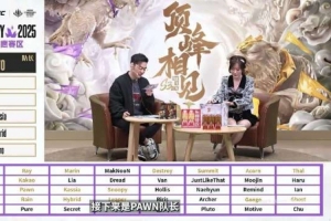 pawn：我查过选手战绩，Archer总是800分左右我选他