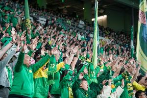 持续火爆！国安vs浙江队共有42350名球迷现场观战