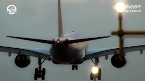 【比赛日】耐心总结 下场再战