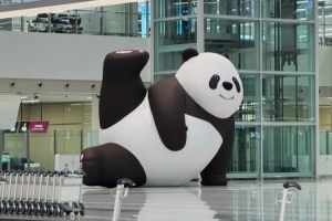 Rookie选手分享照片：功夫熊猫