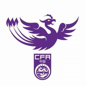 中国足协关于2025年第一期2012年龄段女子精英球员大区训练营通知