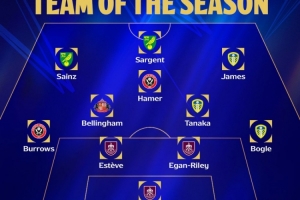 英冠赛季最佳阵容：小贝林厄姆、田中碧、丹尼尔-詹姆斯在列
