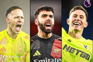 英超官方晒本赛季金手套奖争夺：塞尔斯13场零封居首，拉亚次席