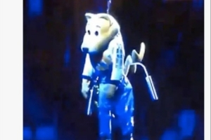 意难平马龙称雷霆球迷全NBA最棒丹佛媒体发上吊图