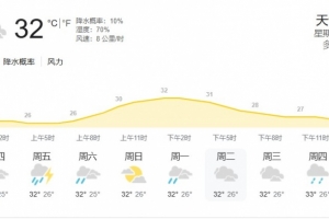 印尼雅加达当地天气：气温32度，湿度70%，降水概率10%