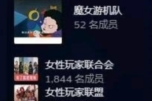 买了游戏才能评价Steam上出现“女性玩家联合会”抱团打差评