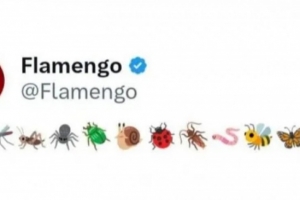 弗拉门戈嘲讽切尔西：一支像昆虫一样小的球队！但引发争议后删除