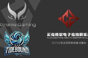 杨哥招募DOTA2青训：年龄16-22岁 目标冲击国际赛场 即战力储备！