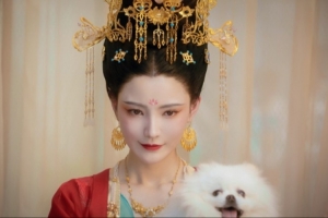 宫斗题材！《隐形守护者》团队互动影视新作“盛世天下”预告公布