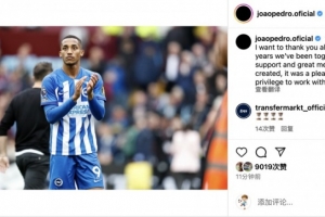 佩德罗社媒告别布莱顿：感谢过去两年与大家共事的时光
