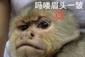 刘青松真来了？WBG老板发博暗示Crisp回归：back