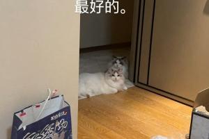 要离开TES了？Crisp更新ins：好运常在，改变就是好事