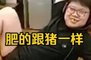 Yang直言Chalice抽过脂：杨沈仪，你肥的跟猪一样，闹麻了给你！