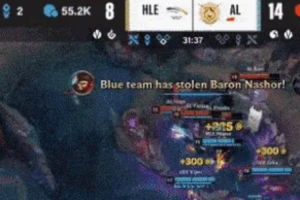 被HLE扳平后，管泽元吐槽AL发挥：草了，能这样一直被抢龙阿