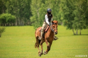 骆歆分享骑马照：这是我的小马 因为编号是123所以叫买单
