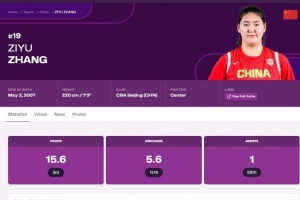 把一切都归因于张子宇，是思想懒惰的体现