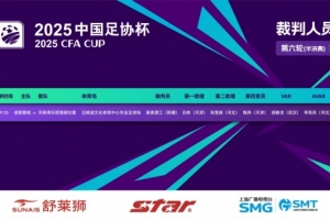 今日足协杯蓉城vs河南裁判：麦麦提江执法，顾春含担任VAR