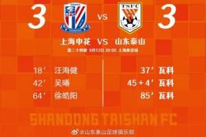 虽然我们没有在上海带走胜利，但是充分展示了什么是泰山队精神！