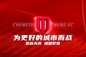 成都蓉城亚冠精英联赛名单：35名球员入选，德尔加多本土球员身份