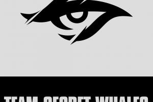 越南TSW横扫GAM 成为全球第十支锁定S15世界赛名额的队伍