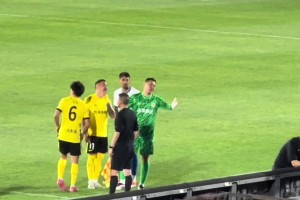 笑死！这位网友真是王大雷的王牌翻译官