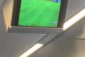 网友晒视频：高铁都在放天下足球，中国足球普及不再纸上谈兵
